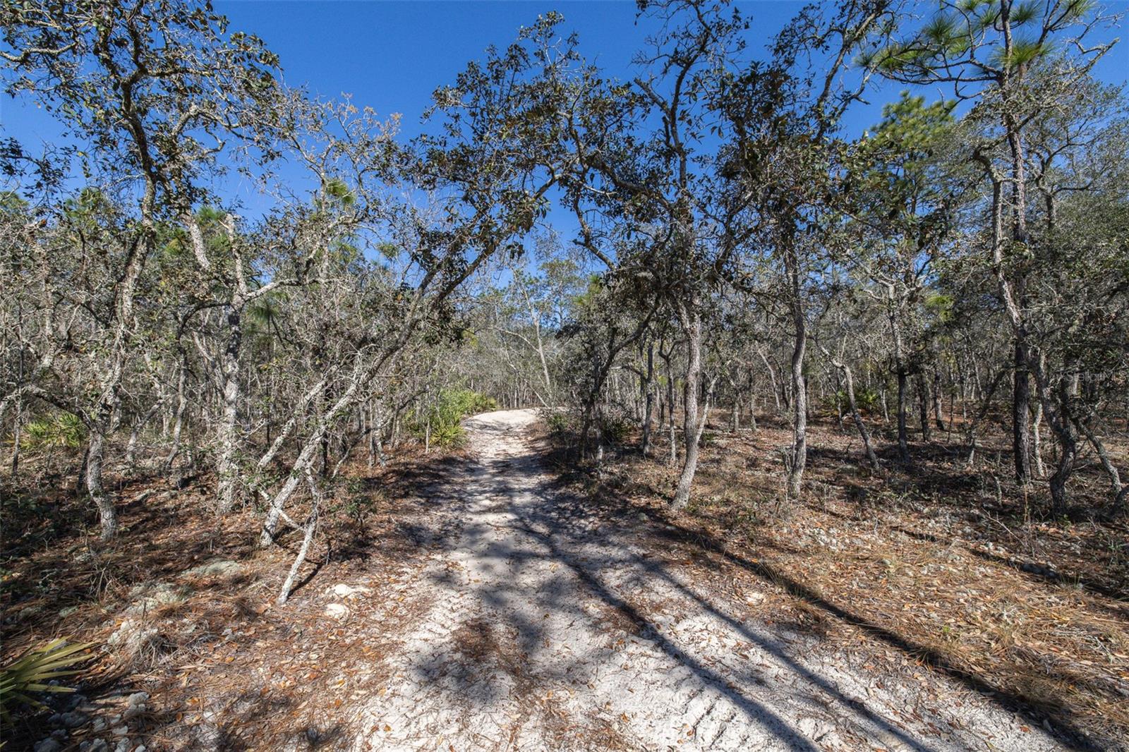 4845 W HERMAN CT, HOMOSASSA, FL — photo 8