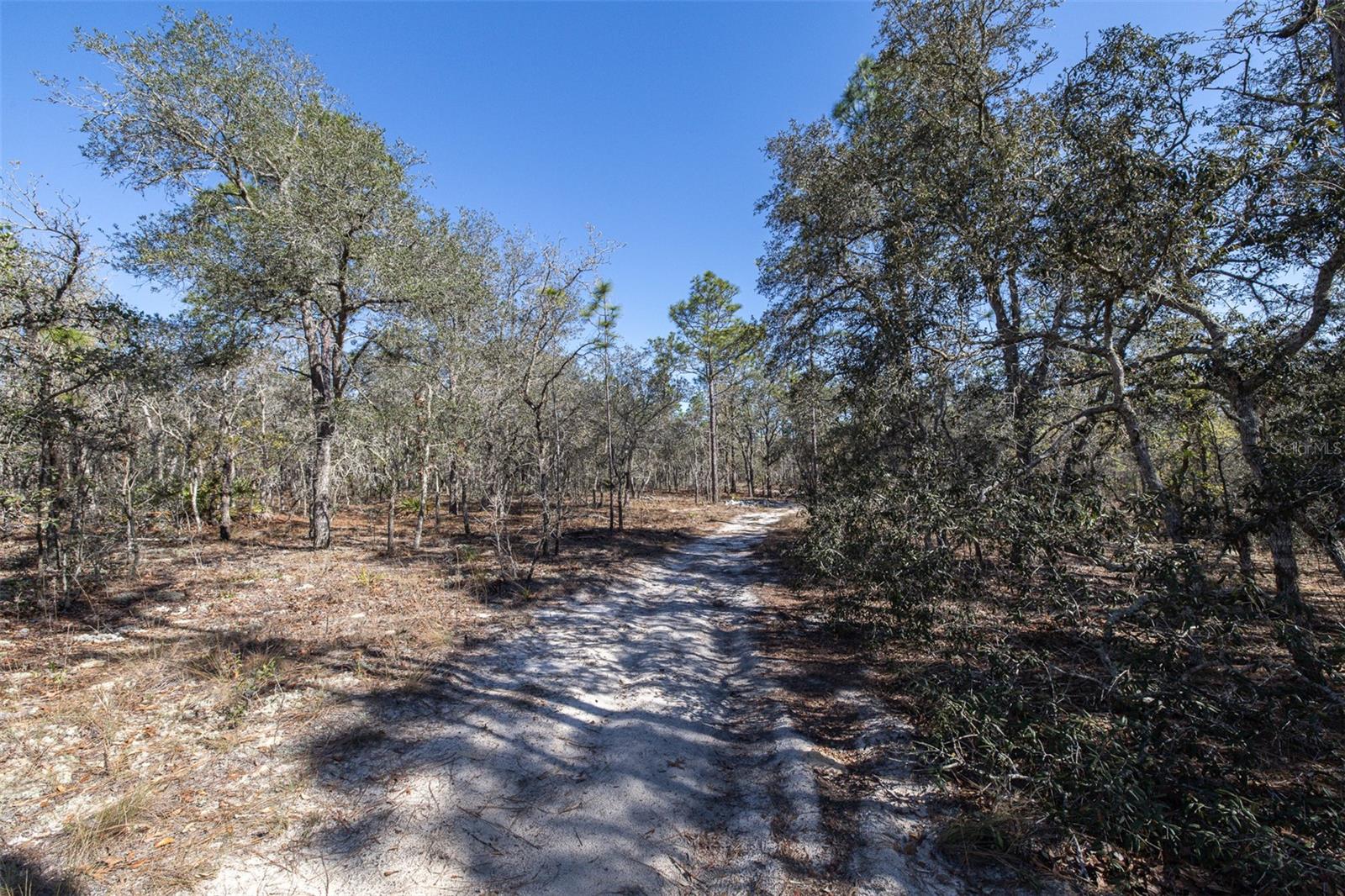 4845 W HERMAN CT, HOMOSASSA, FL — photo 9