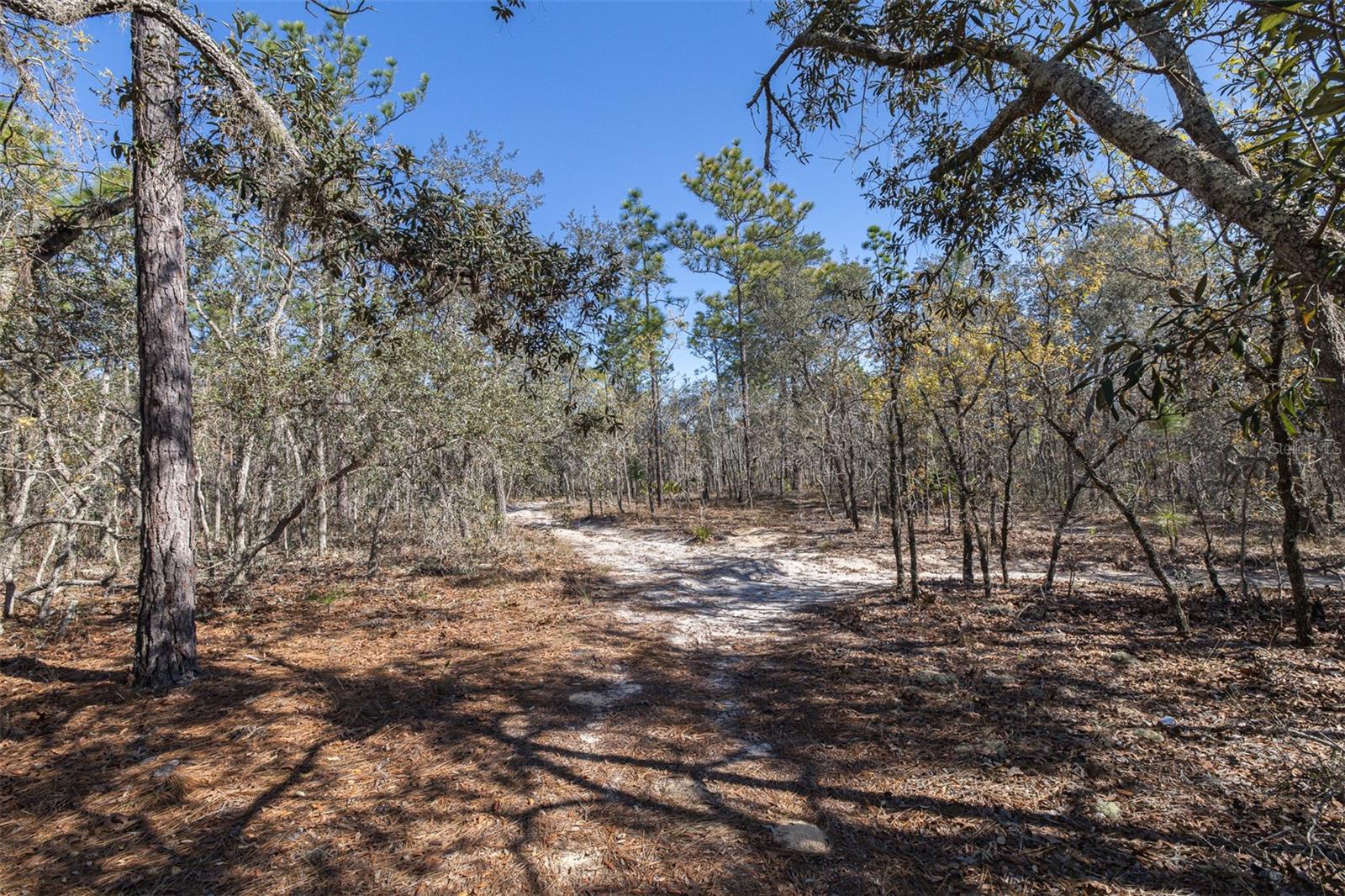 4845 W HERMAN CT, HOMOSASSA, FL — photo 10