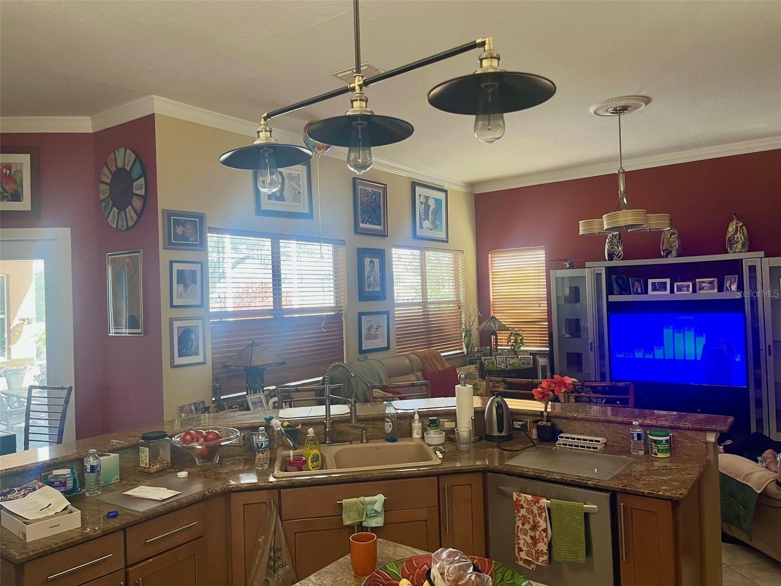 184 CREPE MYRTLE DR, GROVELAND, FL — photo 36