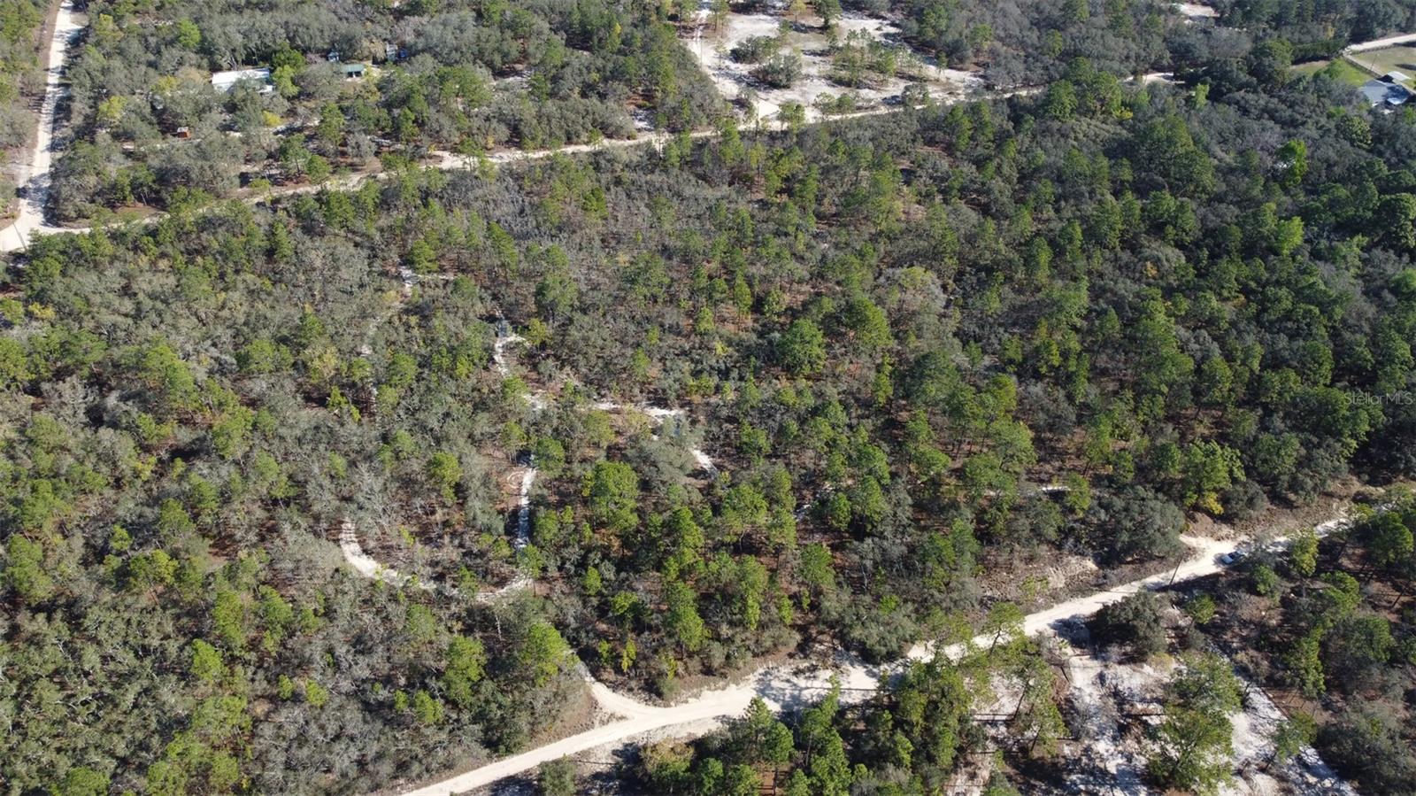 4771 W HERMAN CT, HOMOSASSA, FL — photo 2