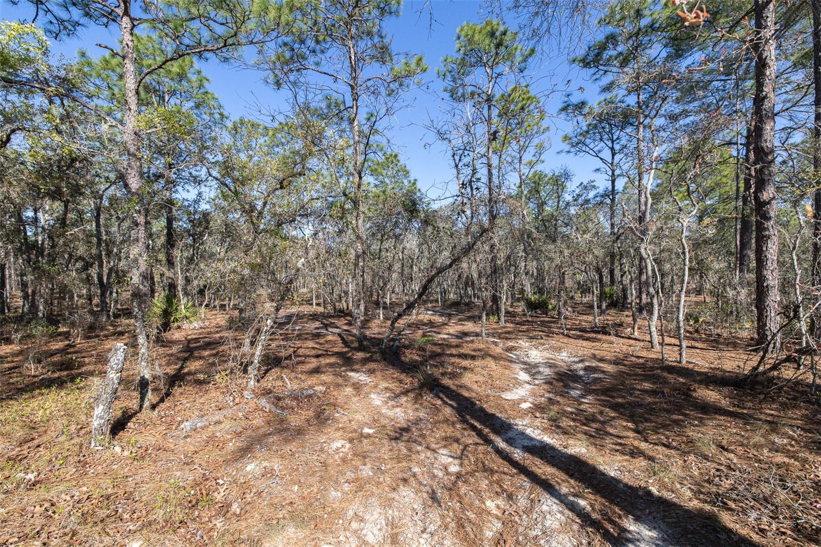 4771 W HERMAN CT, HOMOSASSA, FL — photo 8