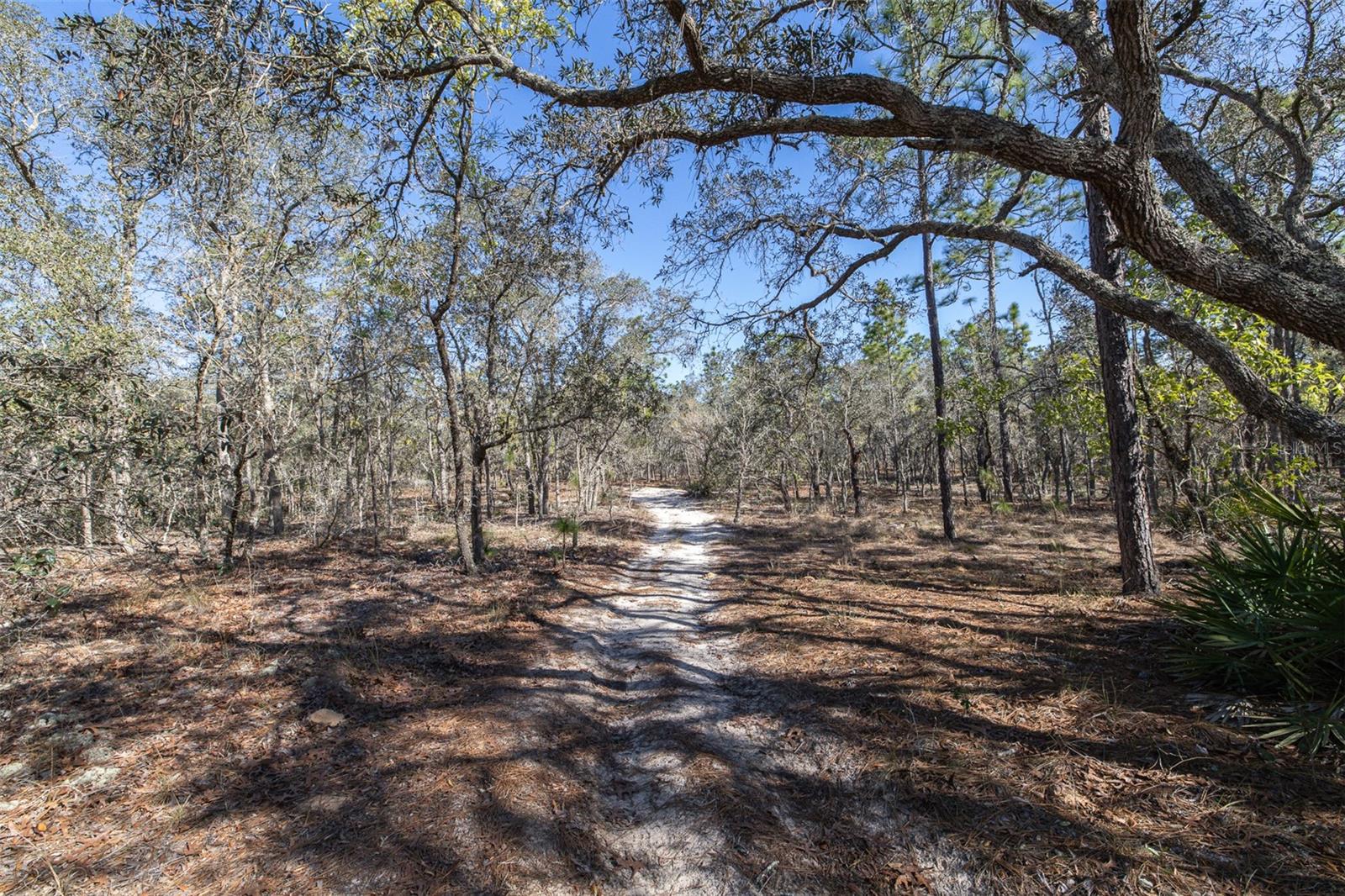 4771 W HERMAN CT, HOMOSASSA, FL — photo 9