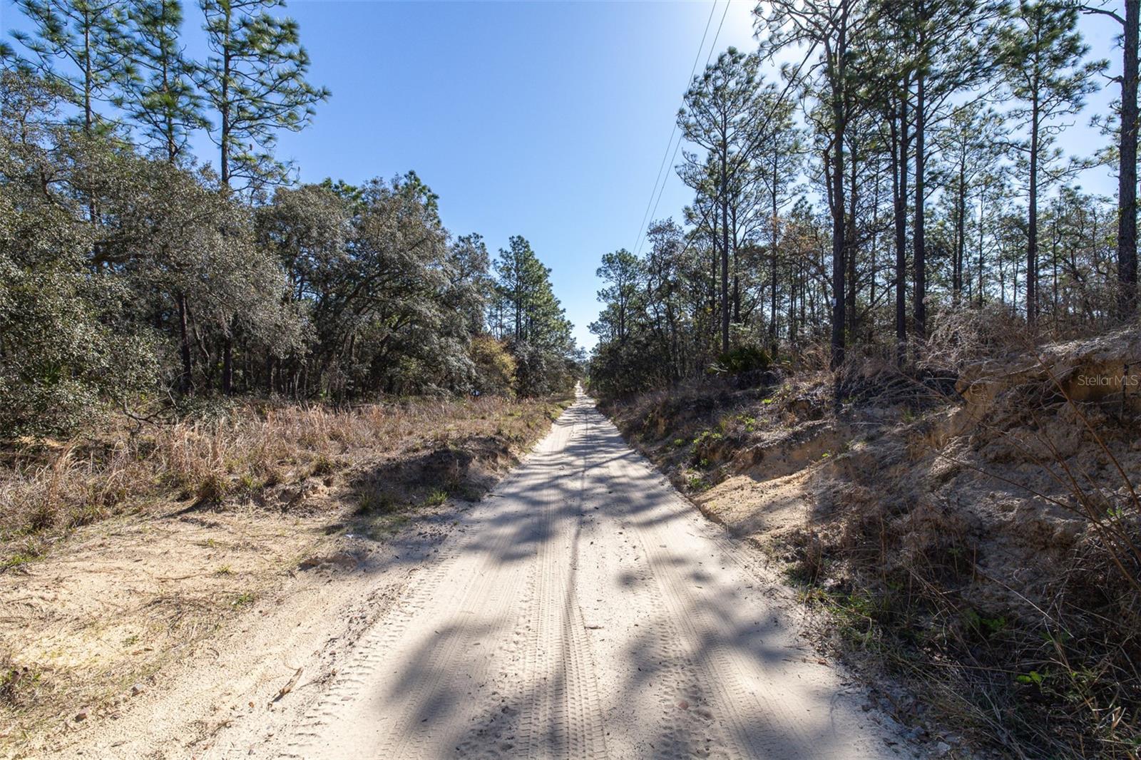 4771 W HERMAN CT, HOMOSASSA, FL — photo 10