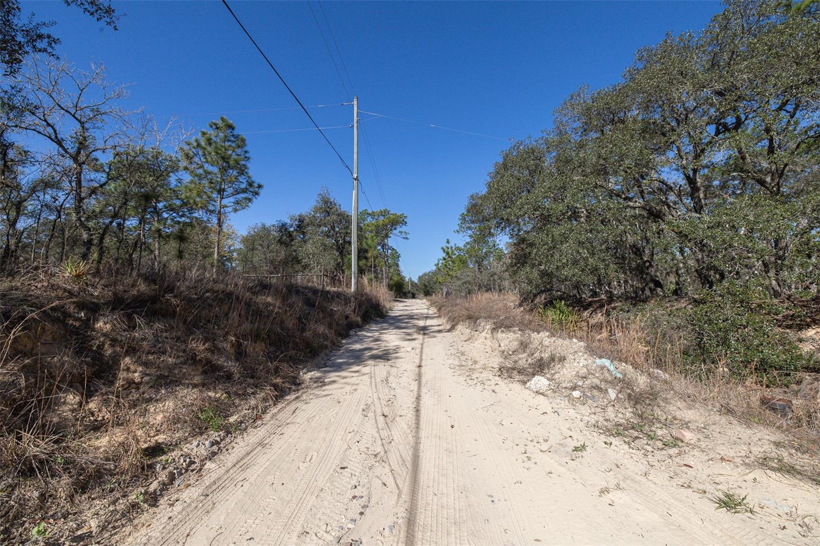 4771 W HERMAN CT, HOMOSASSA, FL — photo 11