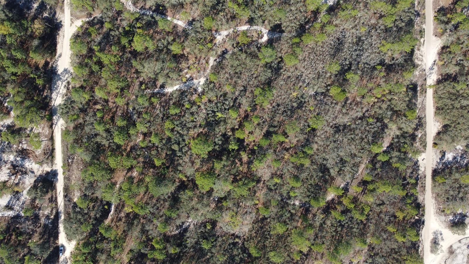 4771 W HERMAN CT, HOMOSASSA, FL — photo 12