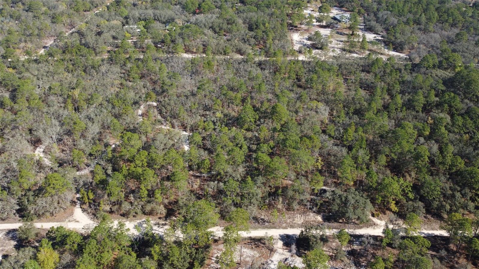 4771 W HERMAN CT, HOMOSASSA, FL — photo 14