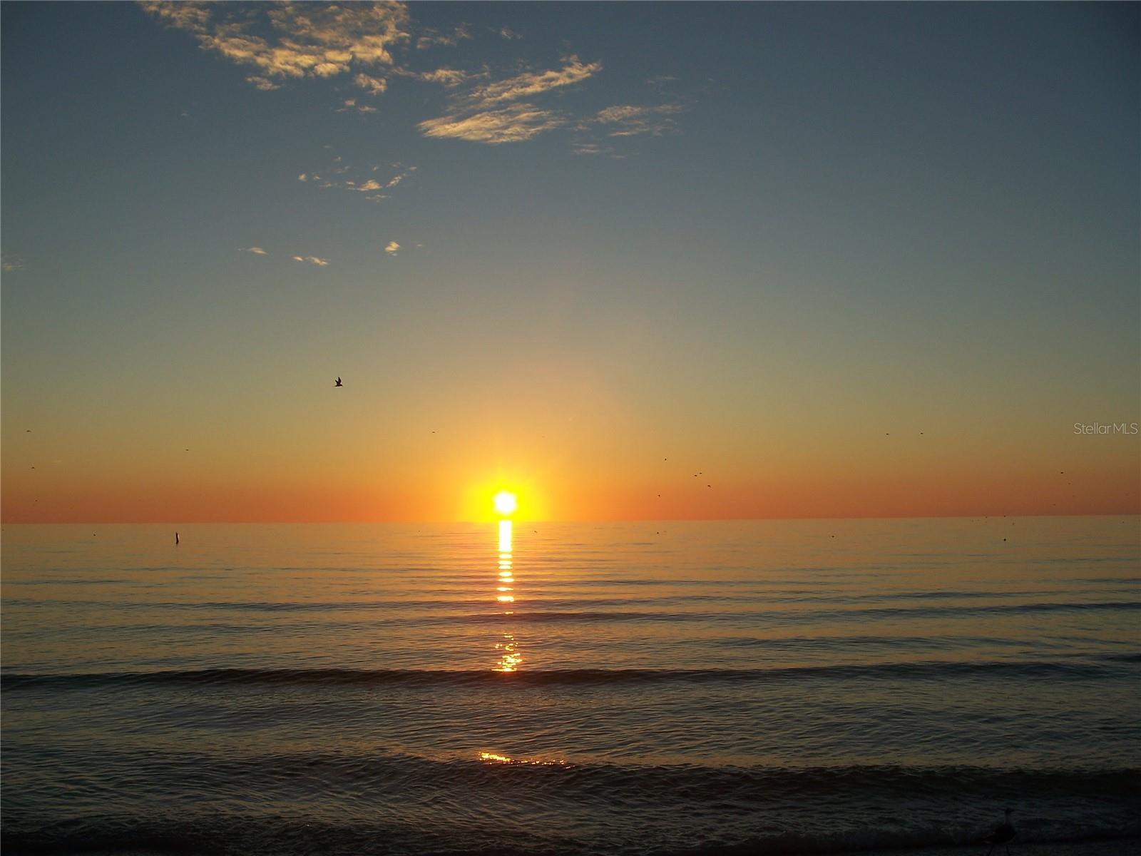 4450 GULF BLVD #110, ST PETE BEACH, FL — photo 41