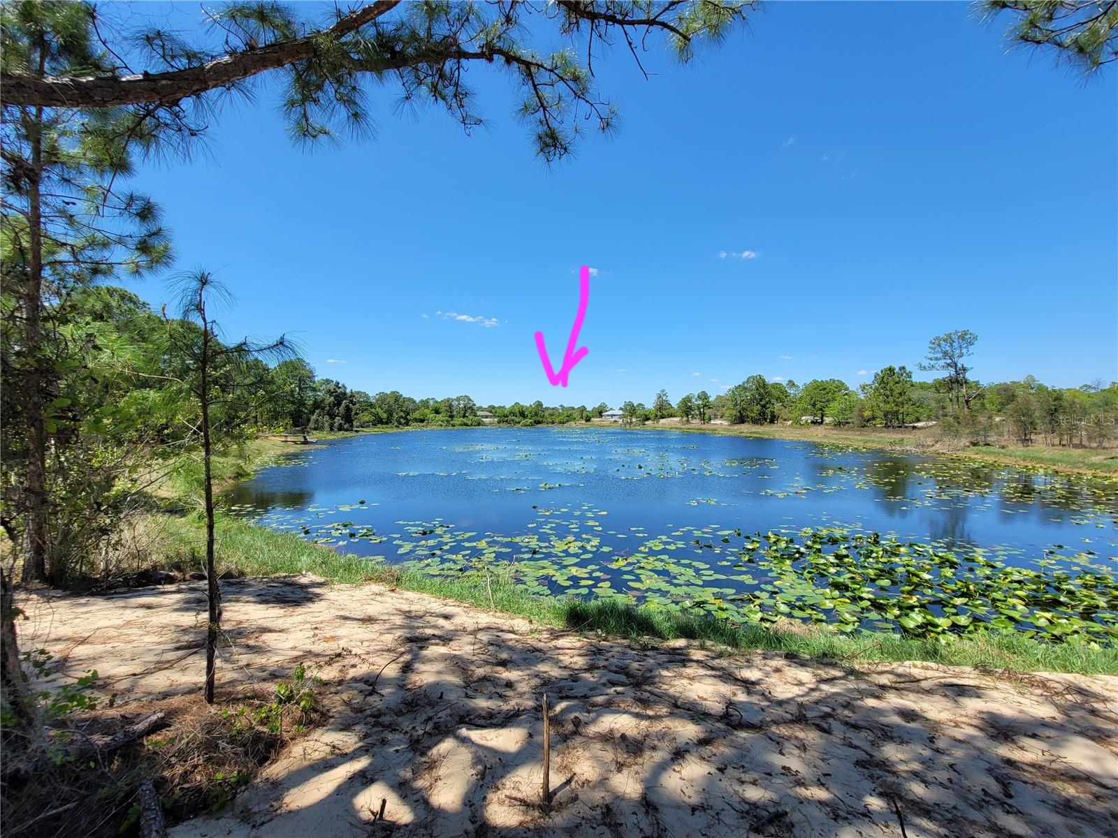 433 GLORIA BLVD, LAKE PLACID, FL — photo 3