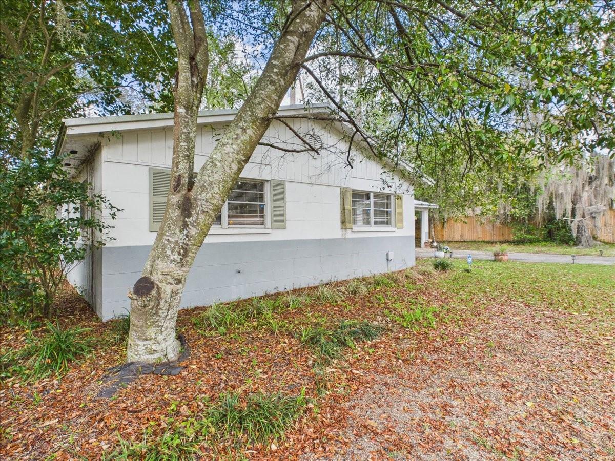 3314 NW 45TH AVE, GAINESVILLE, FL — photo 3