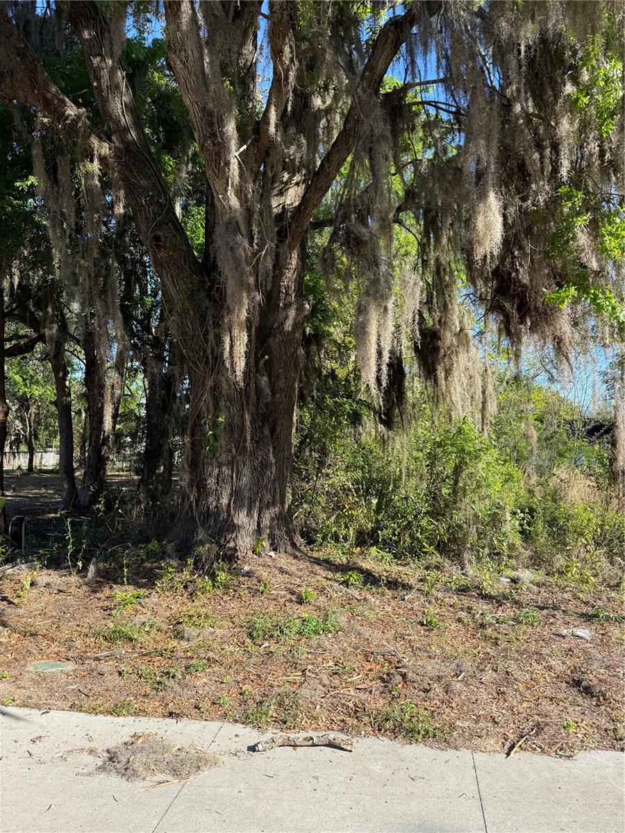 3RD ST, OCALA, FL — photo 2