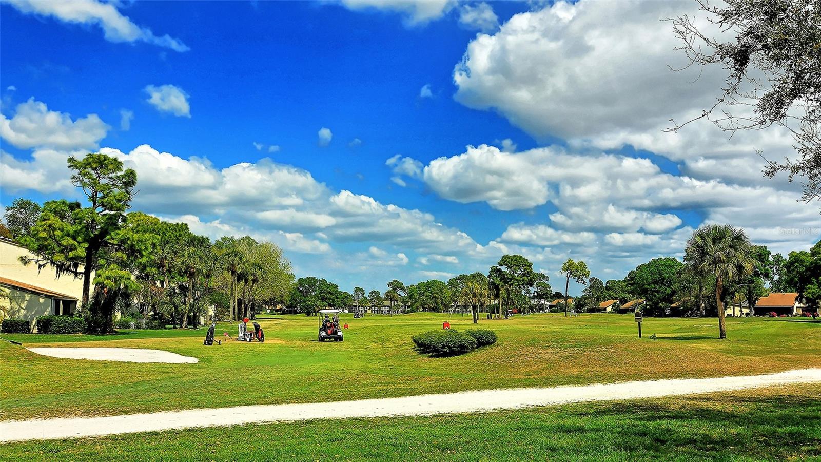 712 WHITE PINE TREE RD #77, VENICE, FL — photo 57
