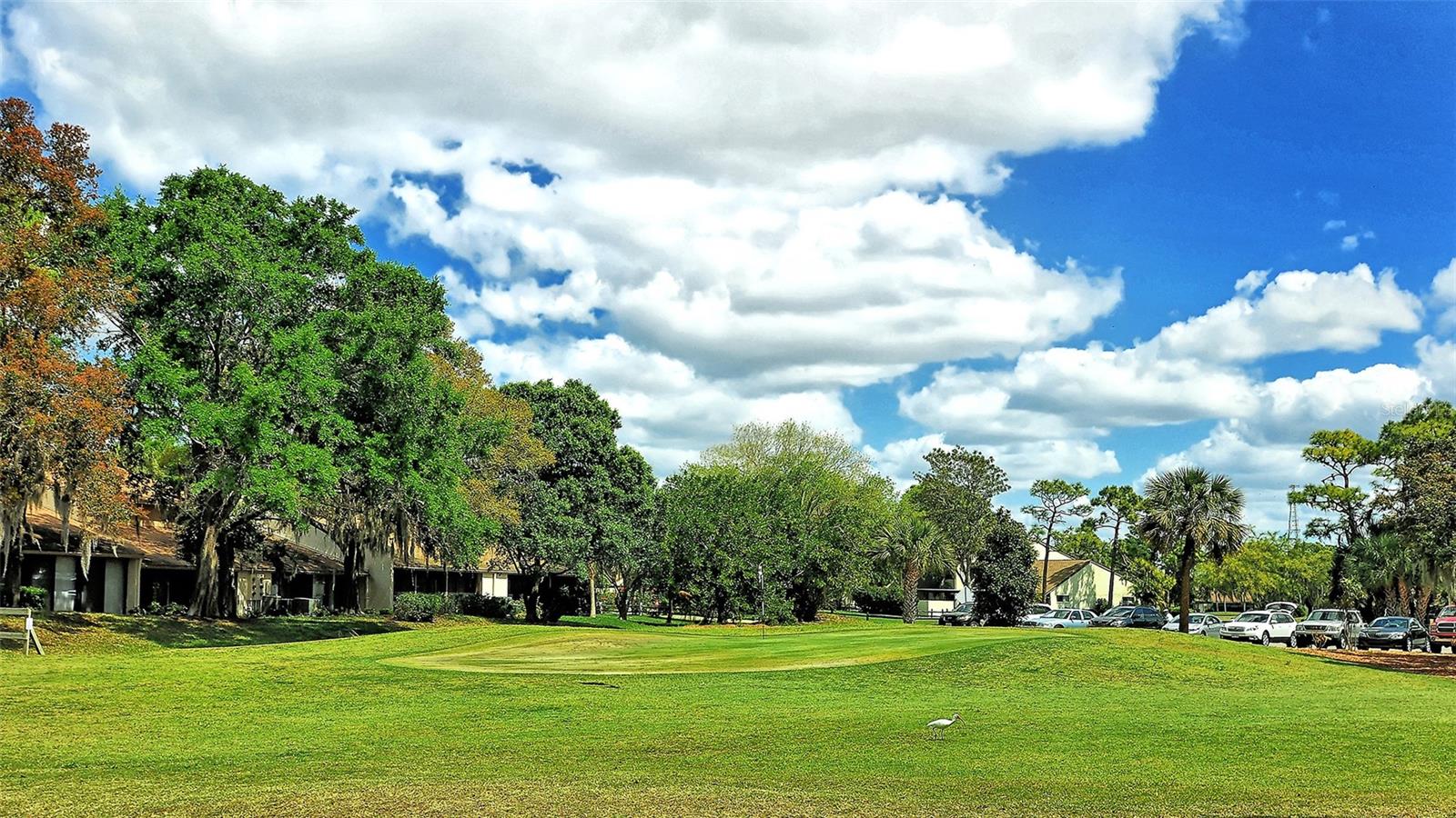 712 WHITE PINE TREE RD #77, VENICE, FL — photo 58