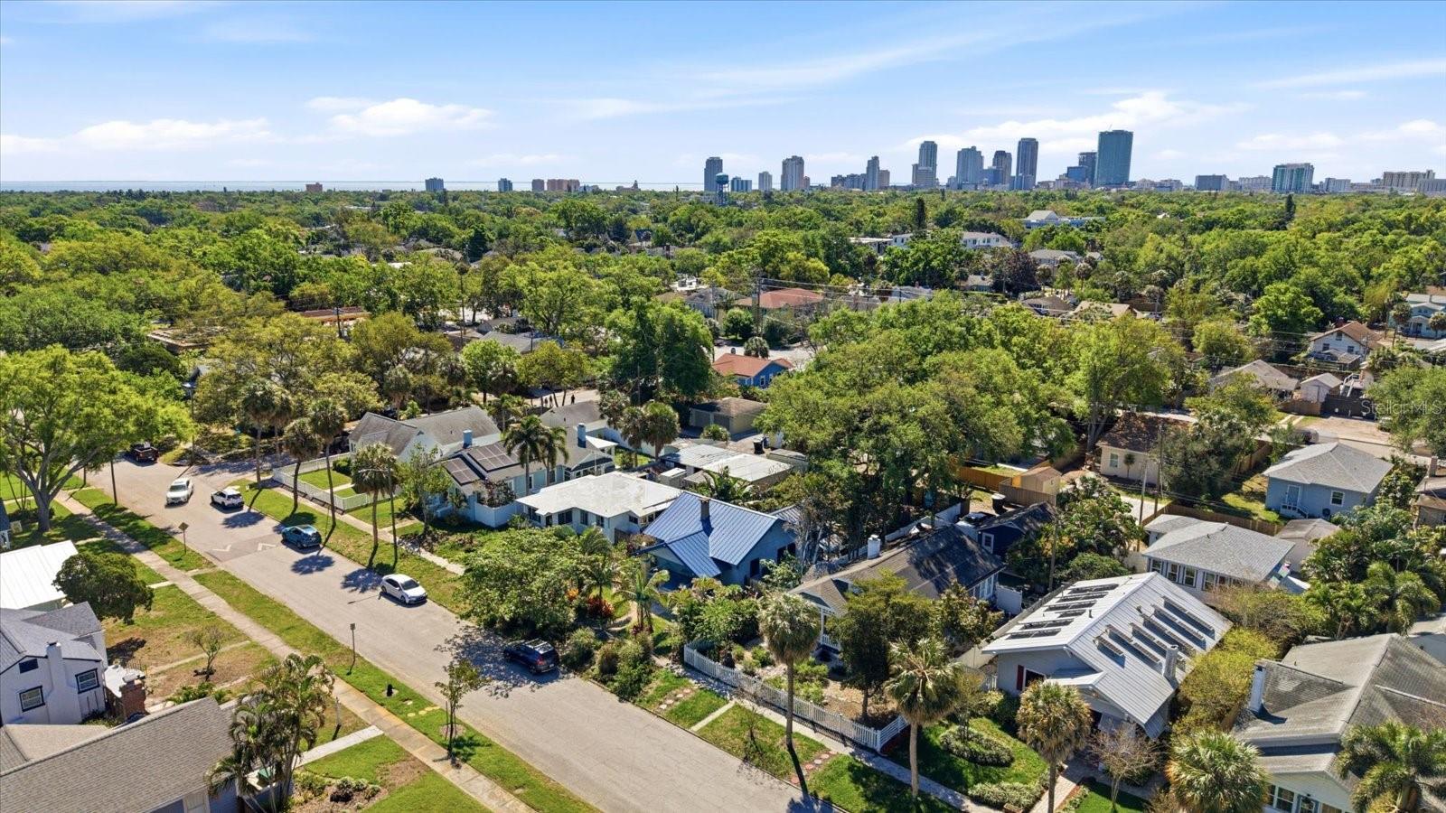 1024 23RD AVE N, ST PETERSBURG, FL — photo 39