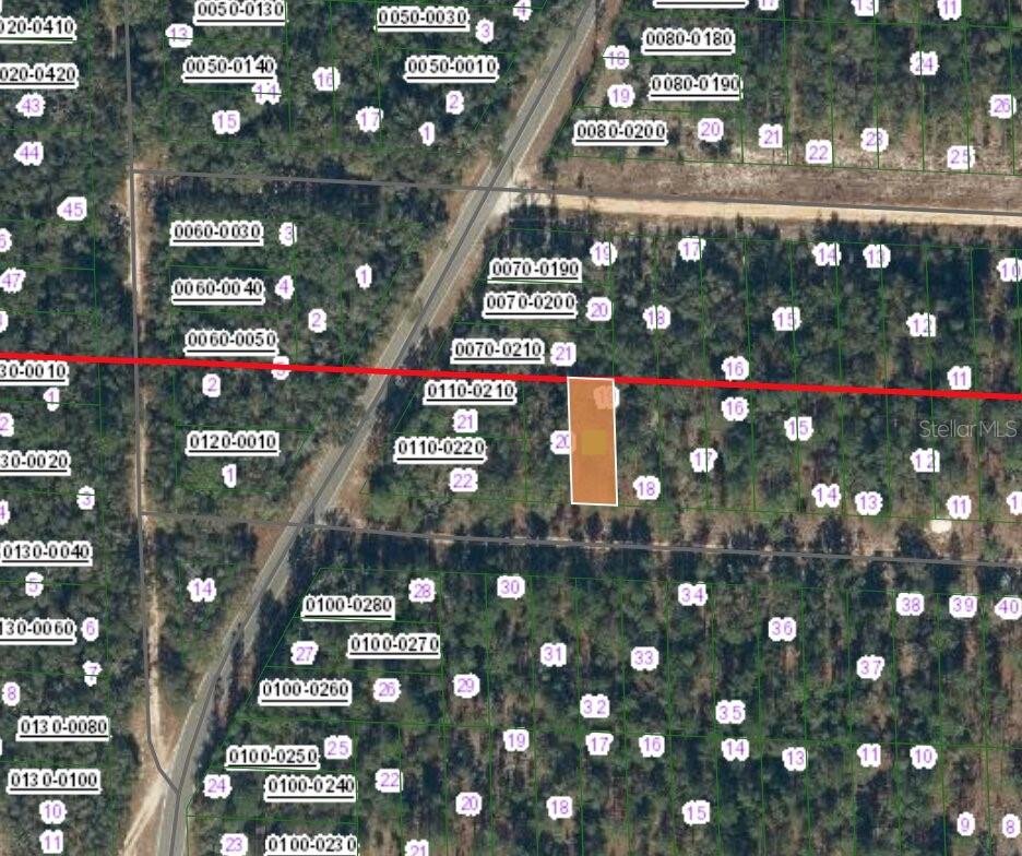 336 PORTLAND ST, HAWTHORNE, FL — photo 3