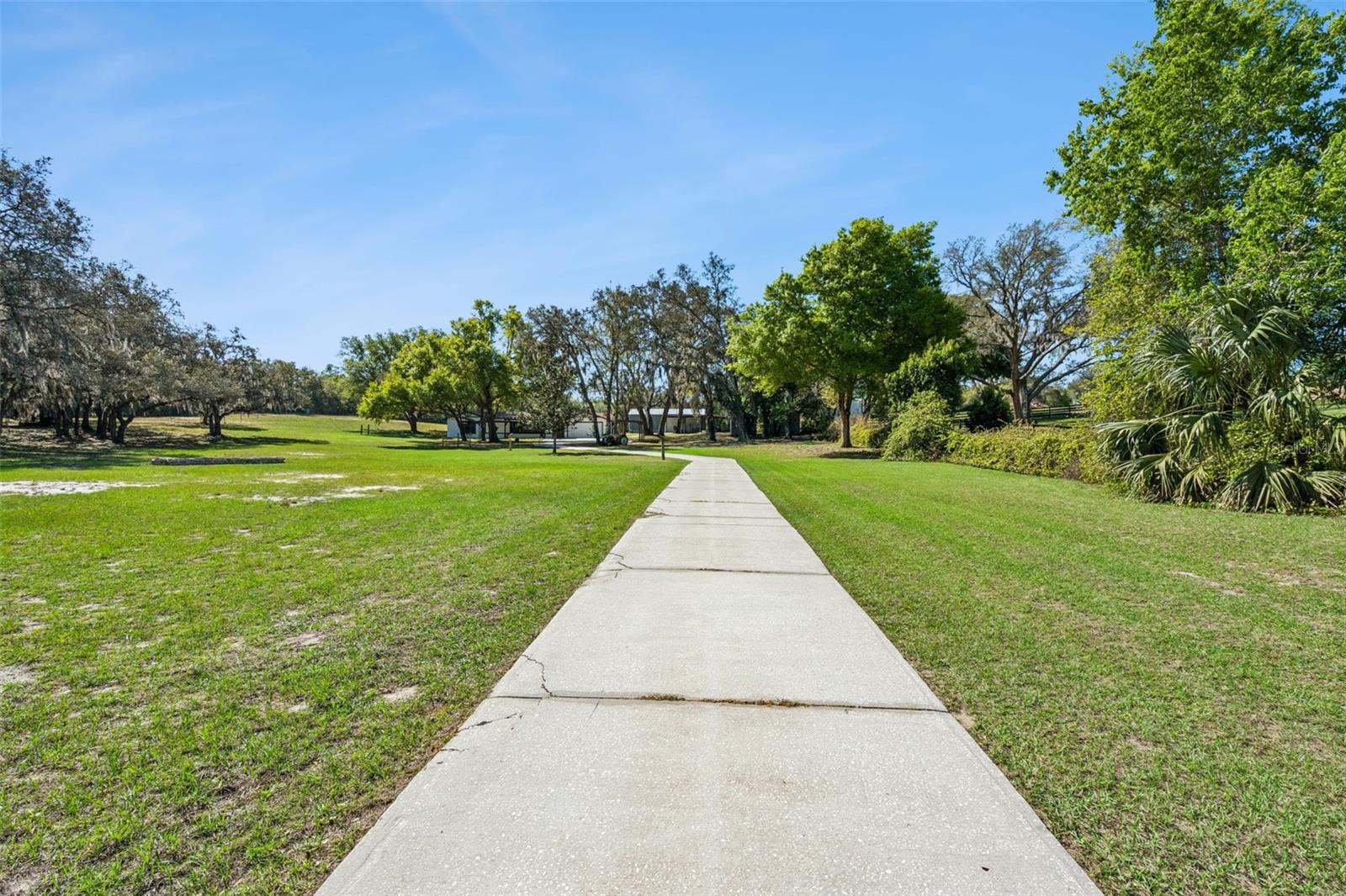 15436 VINOLA DR, MONTVERDE, FL — photo 4