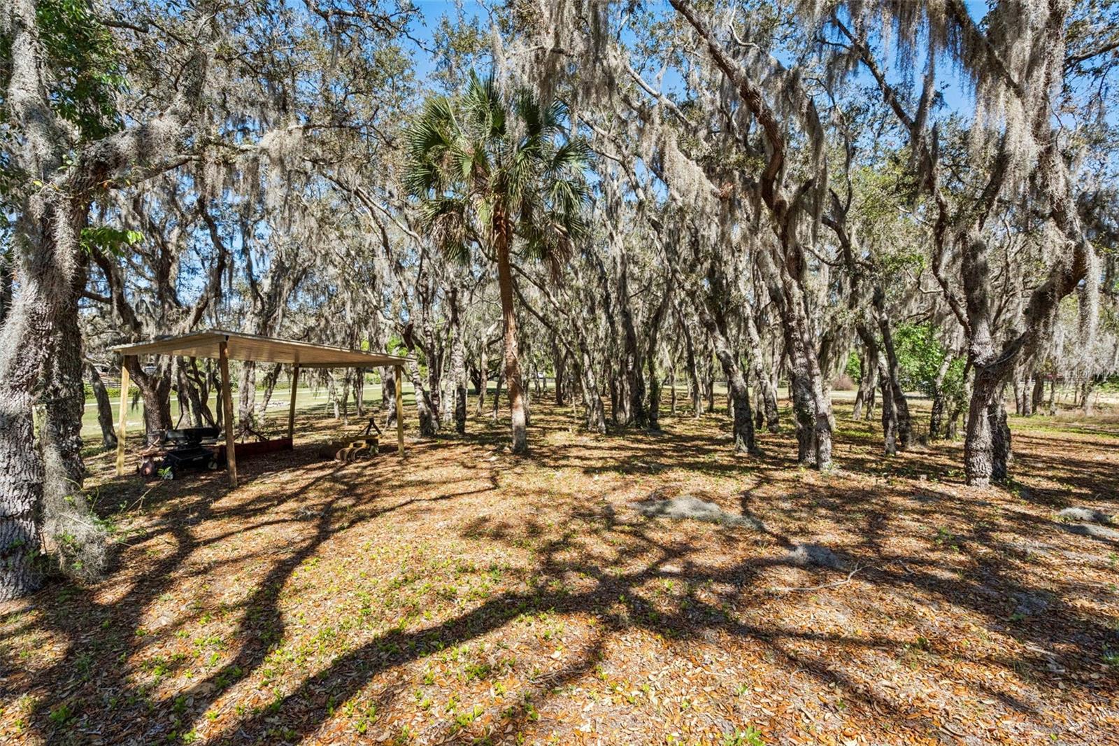 15436 VINOLA DR, MONTVERDE, FL — photo 106