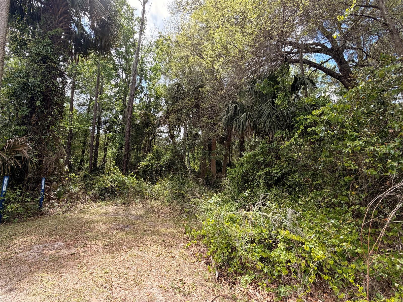 COUNTY ROAD 445A, ASTOR, FL — photo 3