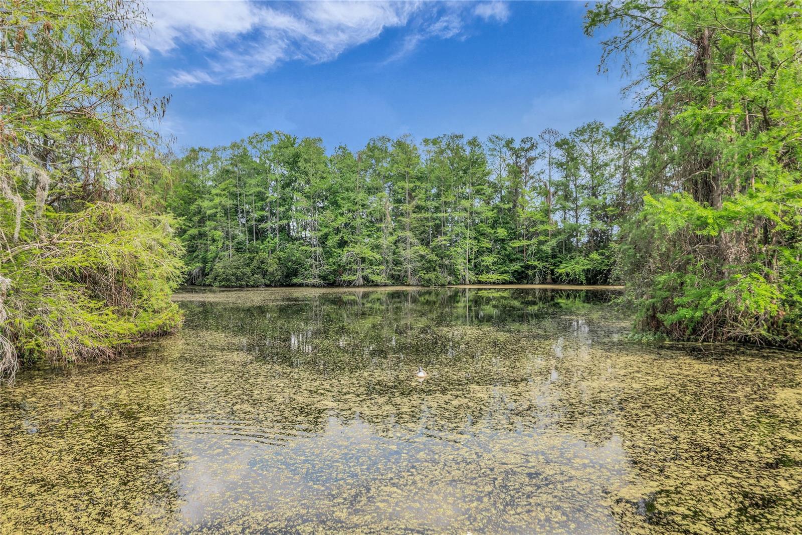 4830 S SEMORAN BLVD #1108, ORLANDO, FL — photo 34