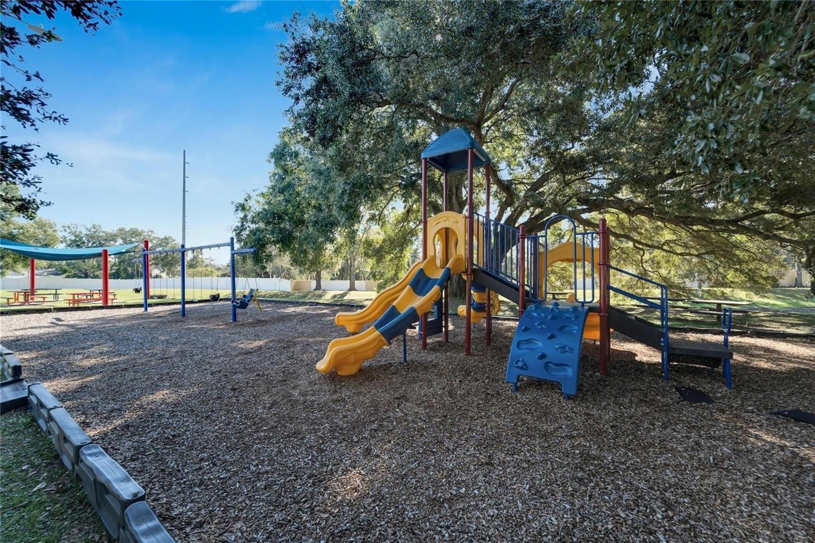 8202 BROWARD PL, TEMPLE TERRACE, FL — photo 41