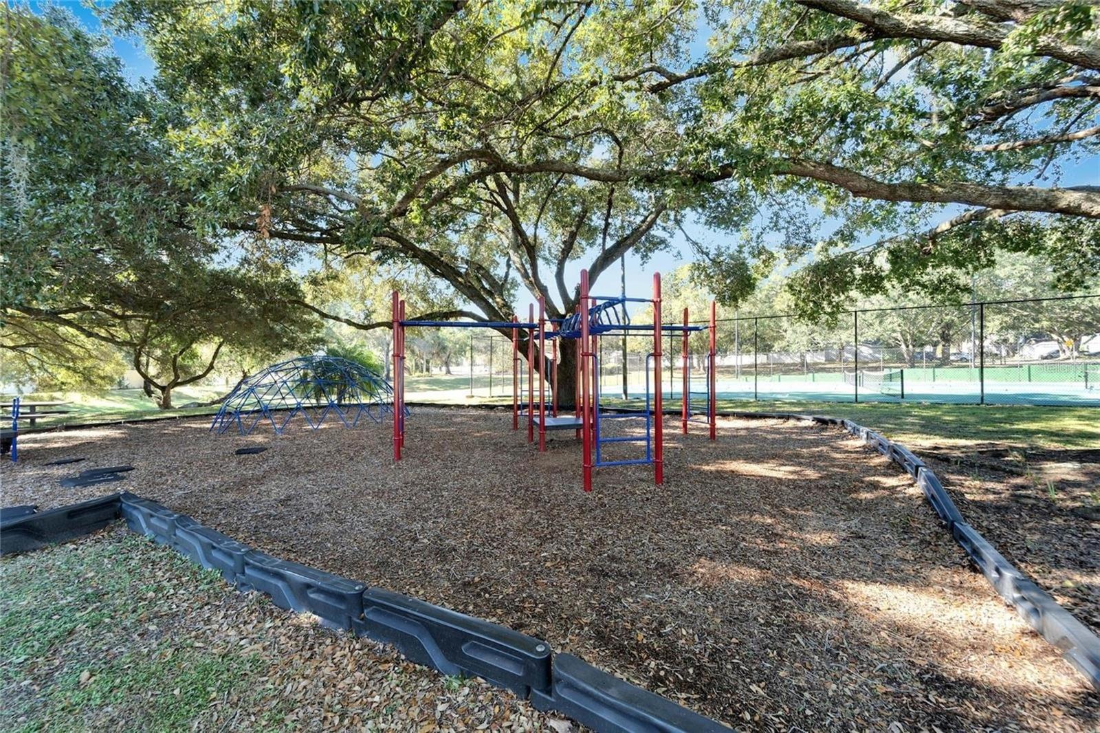 8202 BROWARD PL, TEMPLE TERRACE, FL — photo 43