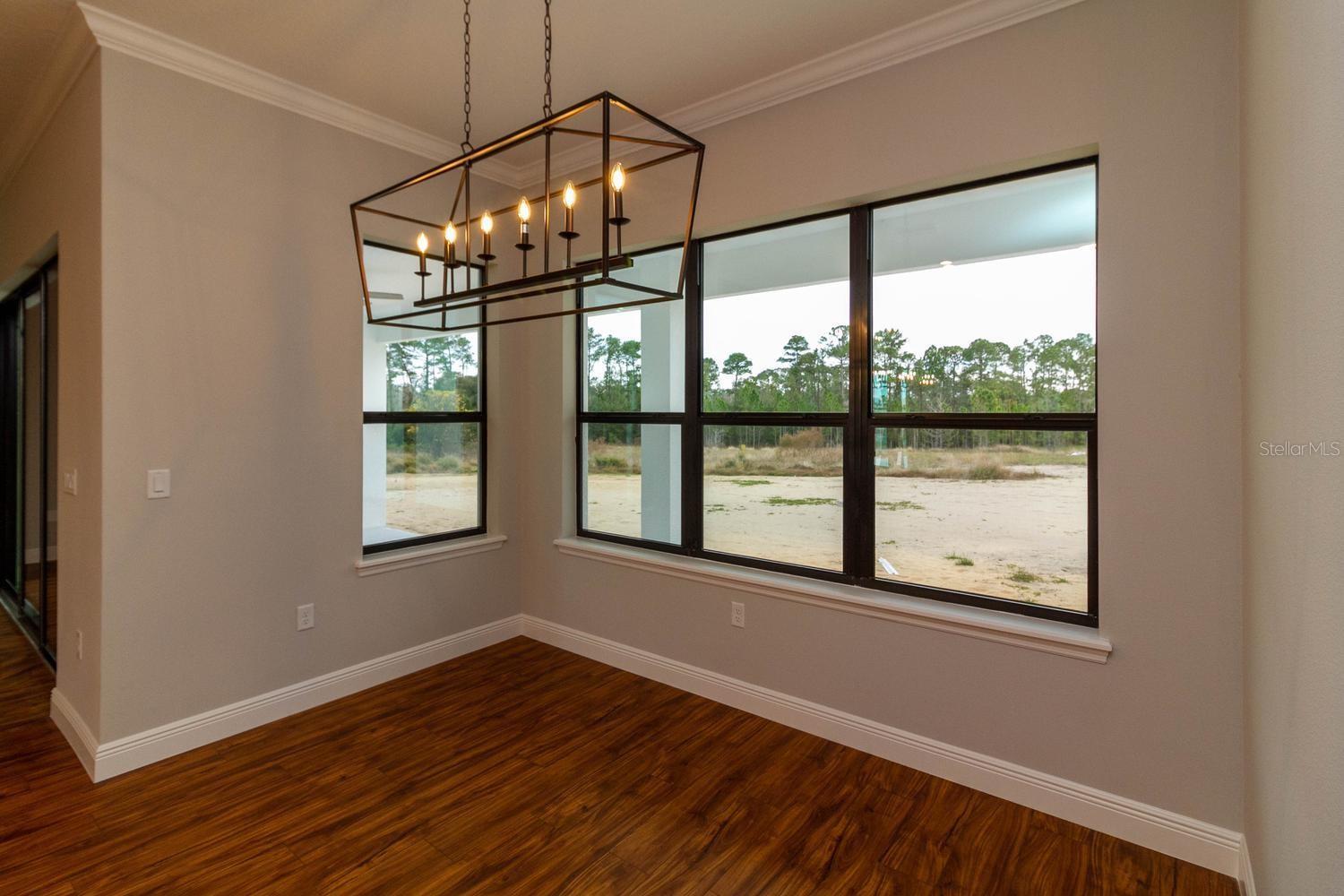 TBD LOT 01000 SILVER DR, UMATILLA, FL — photo 35