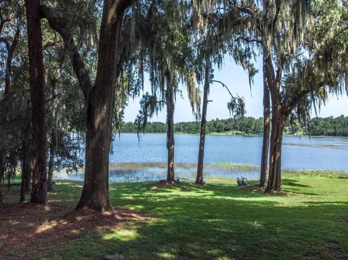 TBD LOT 01000 SILVER DR, UMATILLA, FL — photo 119