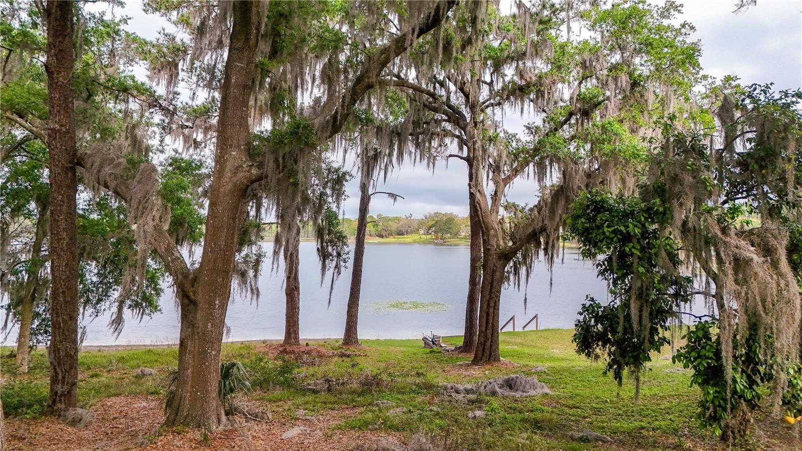 TBD LOT 01000 SILVER DR, UMATILLA, FL — photo 120