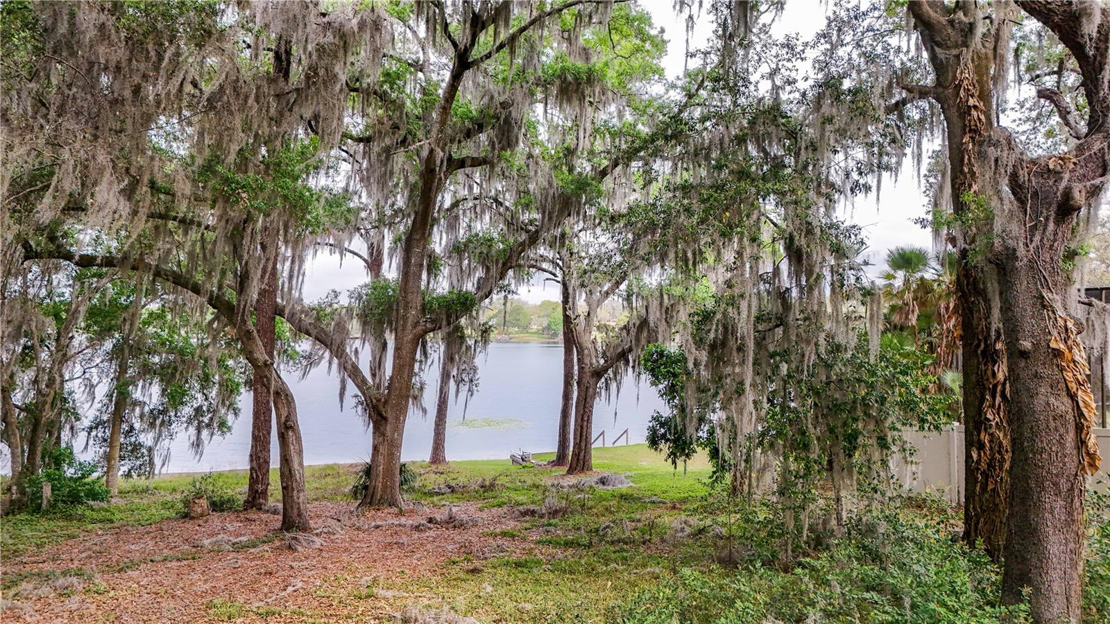 TBD LOT 01000 SILVER DR, UMATILLA, FL — photo 123