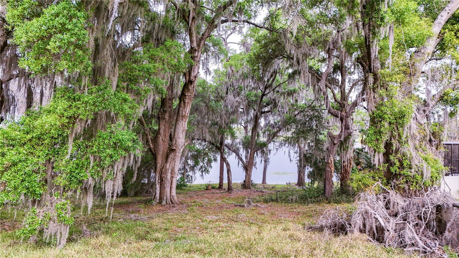 TBD LOT 01000 SILVER DR, UMATILLA, FL — photo 124