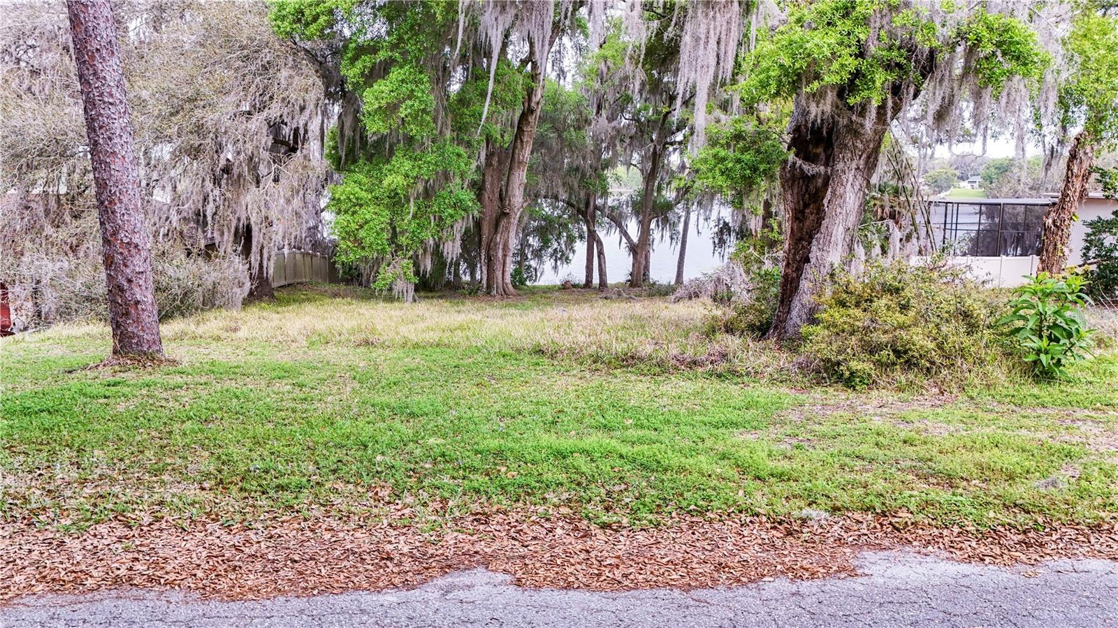 TBD LOT 01000 SILVER DR, UMATILLA, FL — photo 127