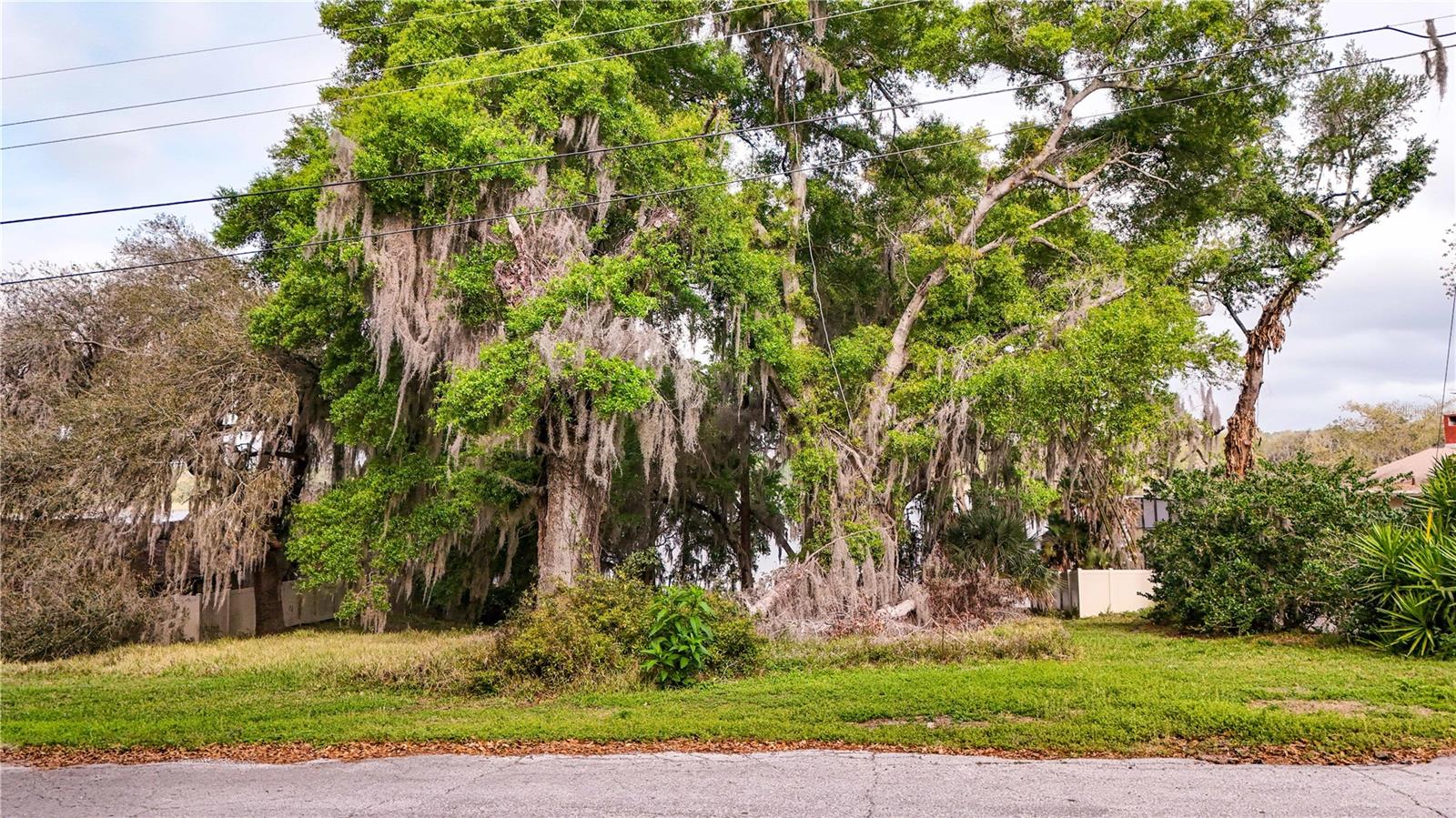 TBD LOT 01000 SILVER DR, UMATILLA, FL — photo 140