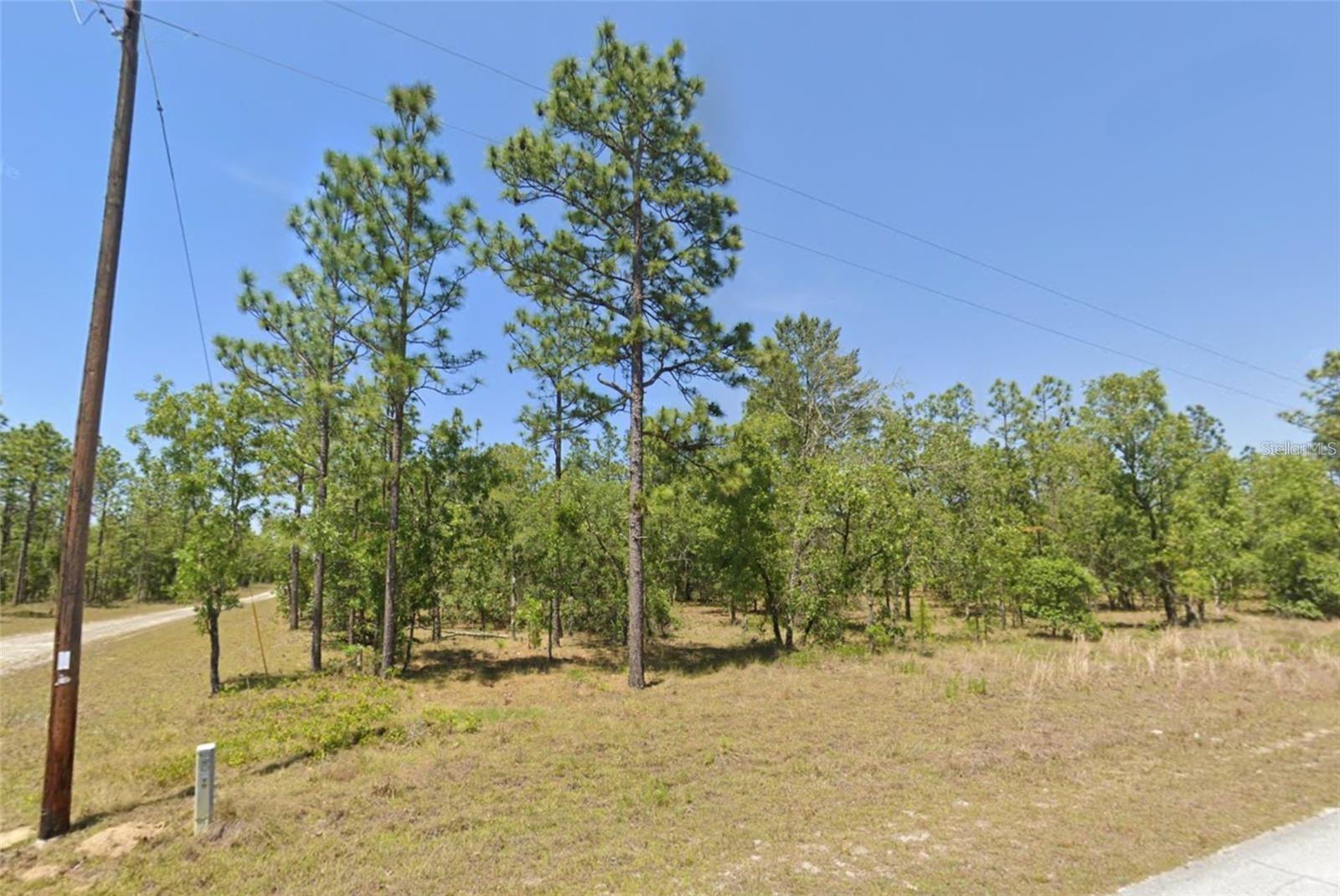 Lot 31 SE 133RD, DUNNELLON, FL