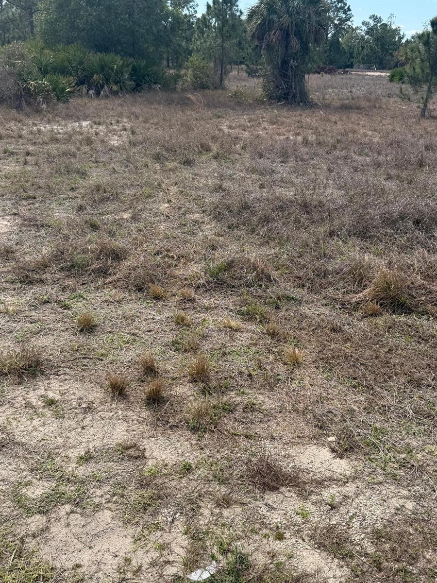 1511 COLUMBUS AVE, LEHIGH ACRES, FL