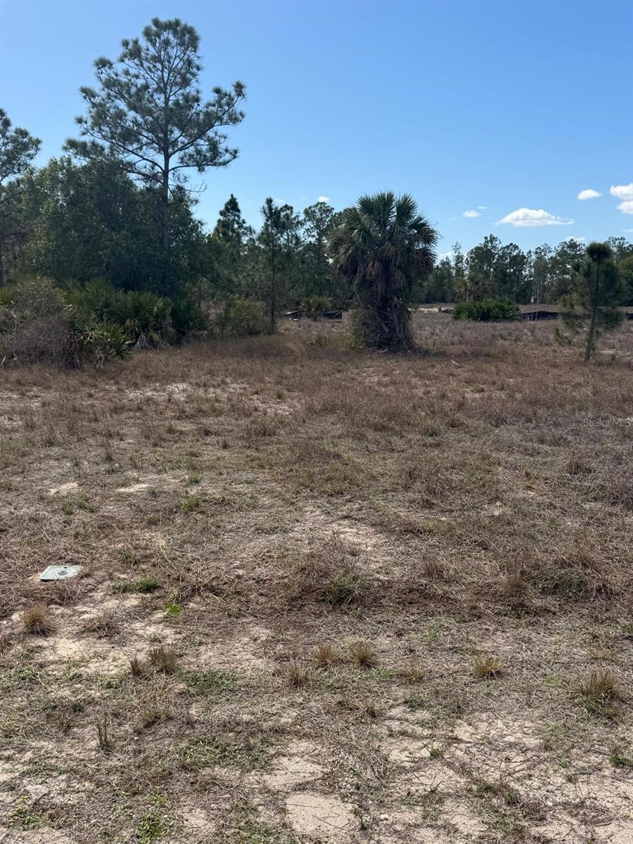 1511 COLUMBUS AVE, LEHIGH ACRES, FL — photo 2
