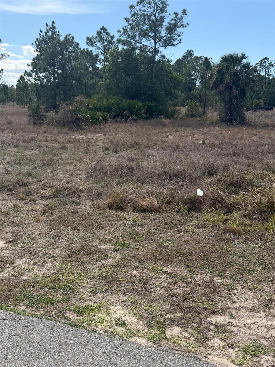 1511 COLUMBUS AVE, LEHIGH ACRES, FL — photo 3
