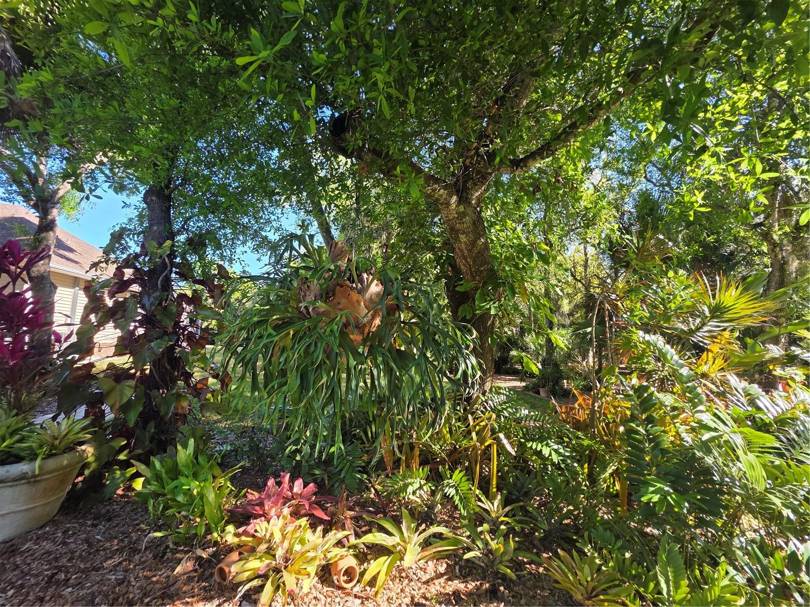 12222 SW AUSTIN AVE, LAKE SUZY, FL — photo 90