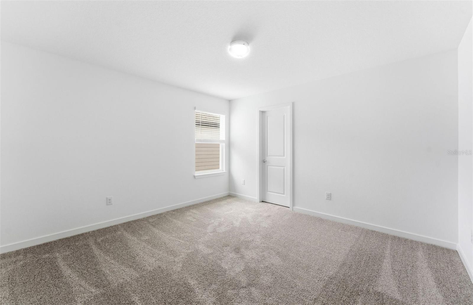 33452 BINDING TIES LN, WESLEY CHAPEL, FL — photo 14