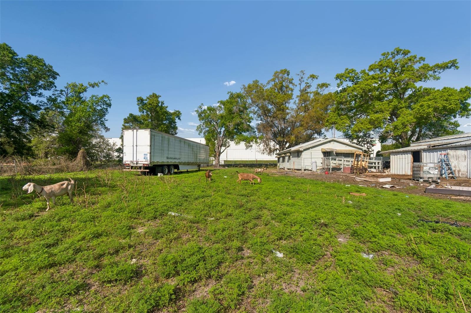 6213 ORIENT RD, TAMPA, FL — photo 38