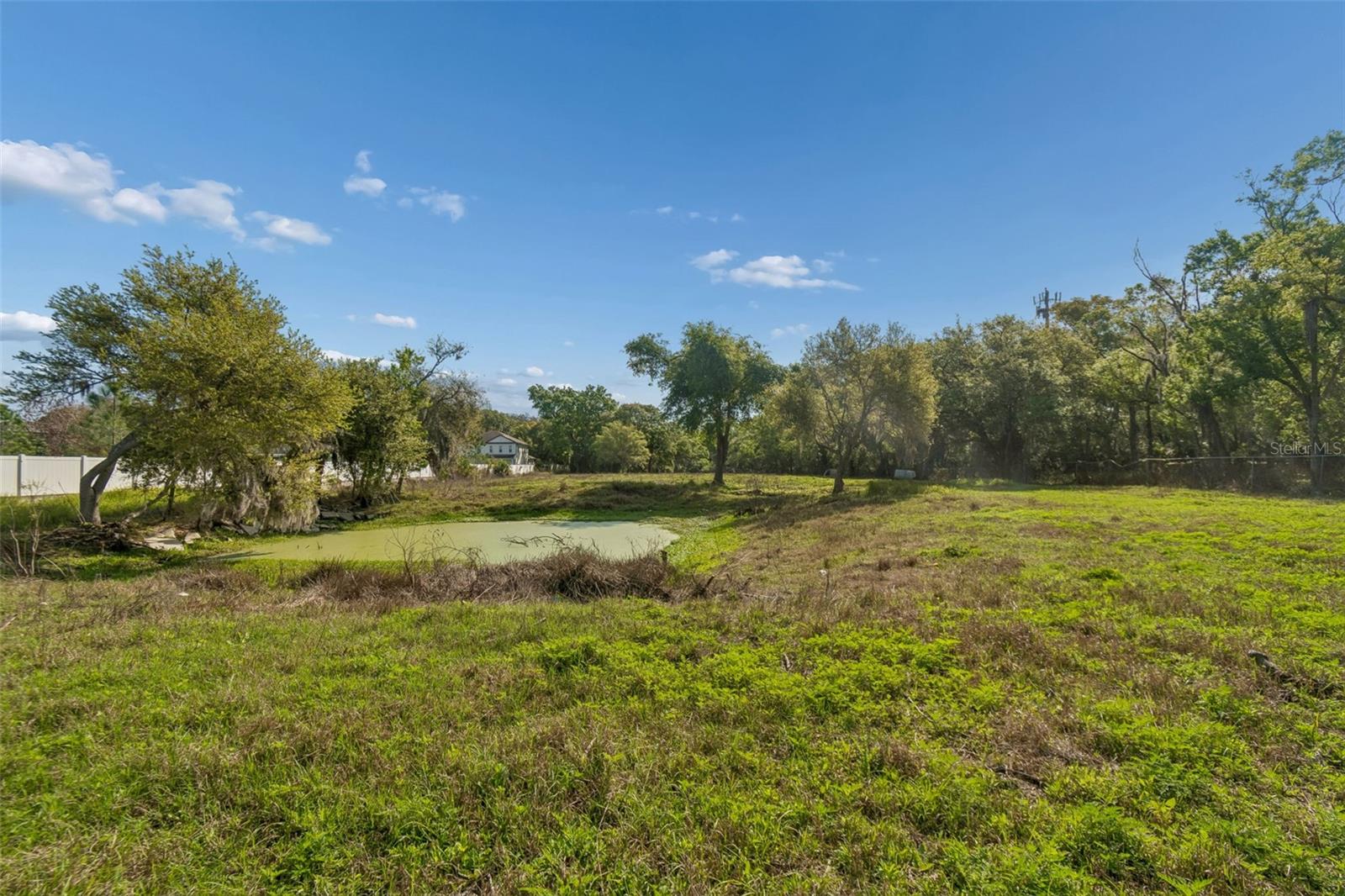6213 ORIENT RD, TAMPA, FL — photo 45