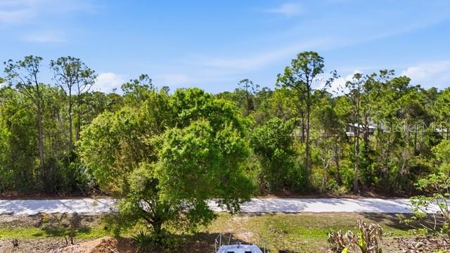 12143 CARTOUCHE AVE, PUNTA GORDA, FL — photo 2