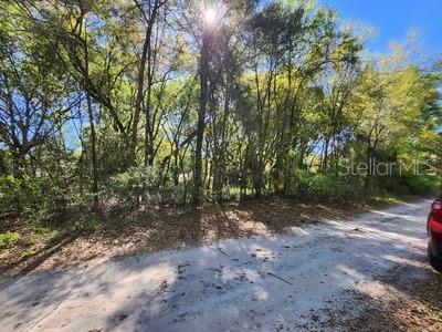 TBD SW 30 ST, OCALA, FL