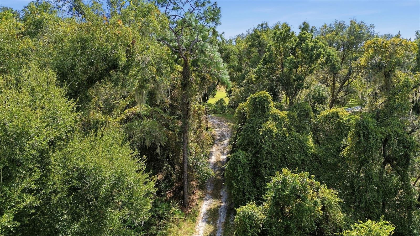 5505 CR 634S, BUSHNELL, FL — photo 4