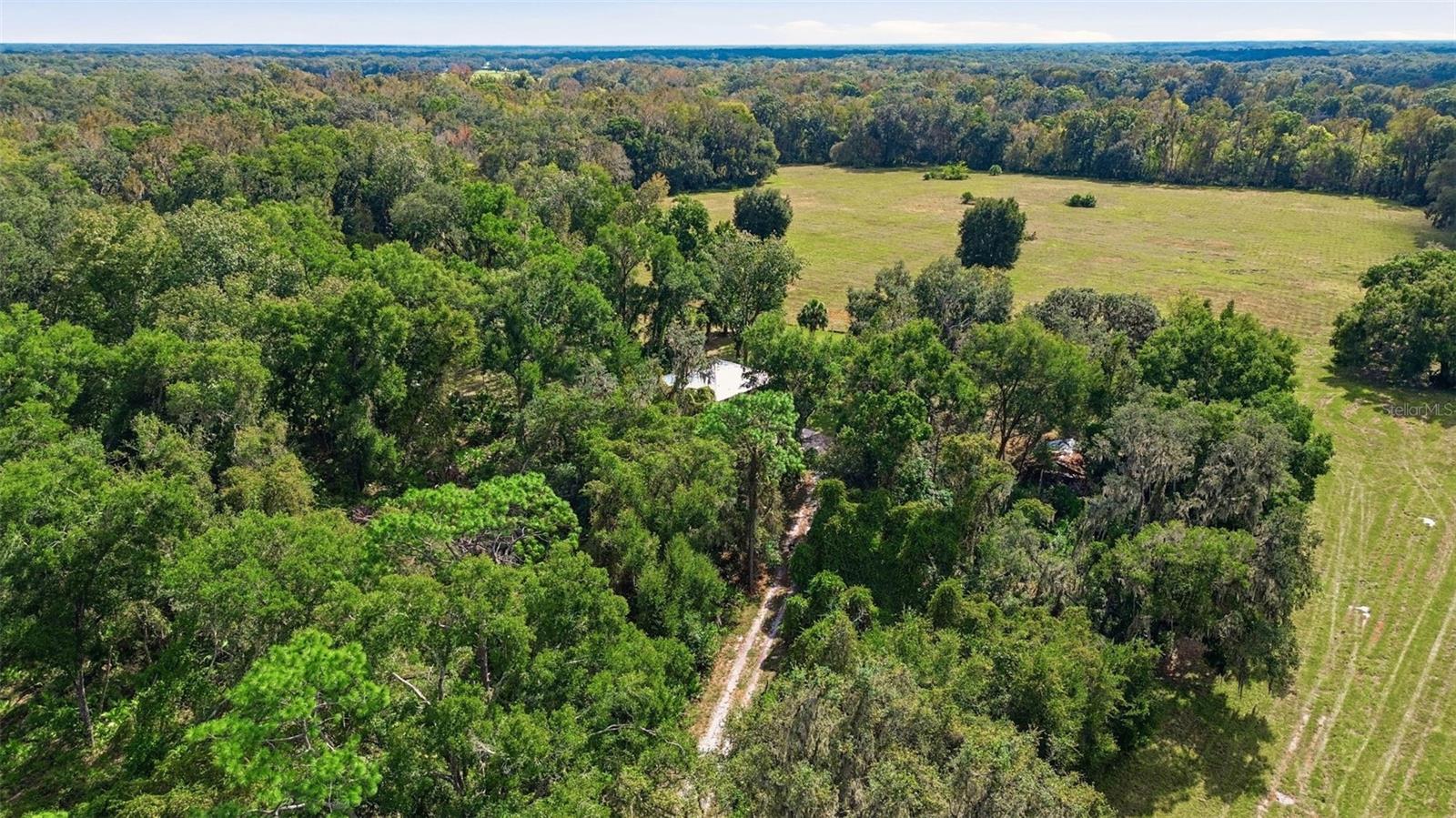 5505 CR 634S, BUSHNELL, FL — photo 3