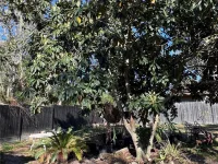 10731 LIBBY NUMBER 3 RD — photo 97