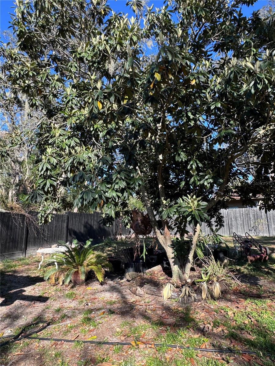 10731 LIBBY NUMBER 3 RD, CLERMONT, FL — photo 98