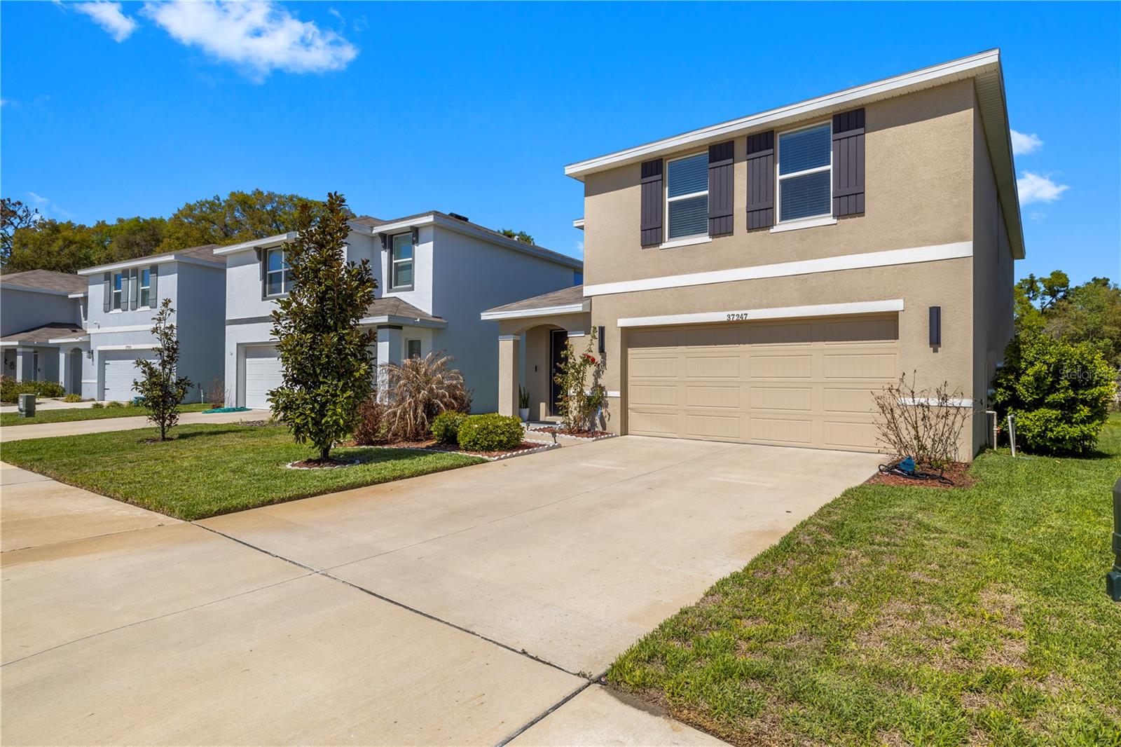 37247 KINGS CROWN DR, ZEPHYRHILLS, FL — photo 2