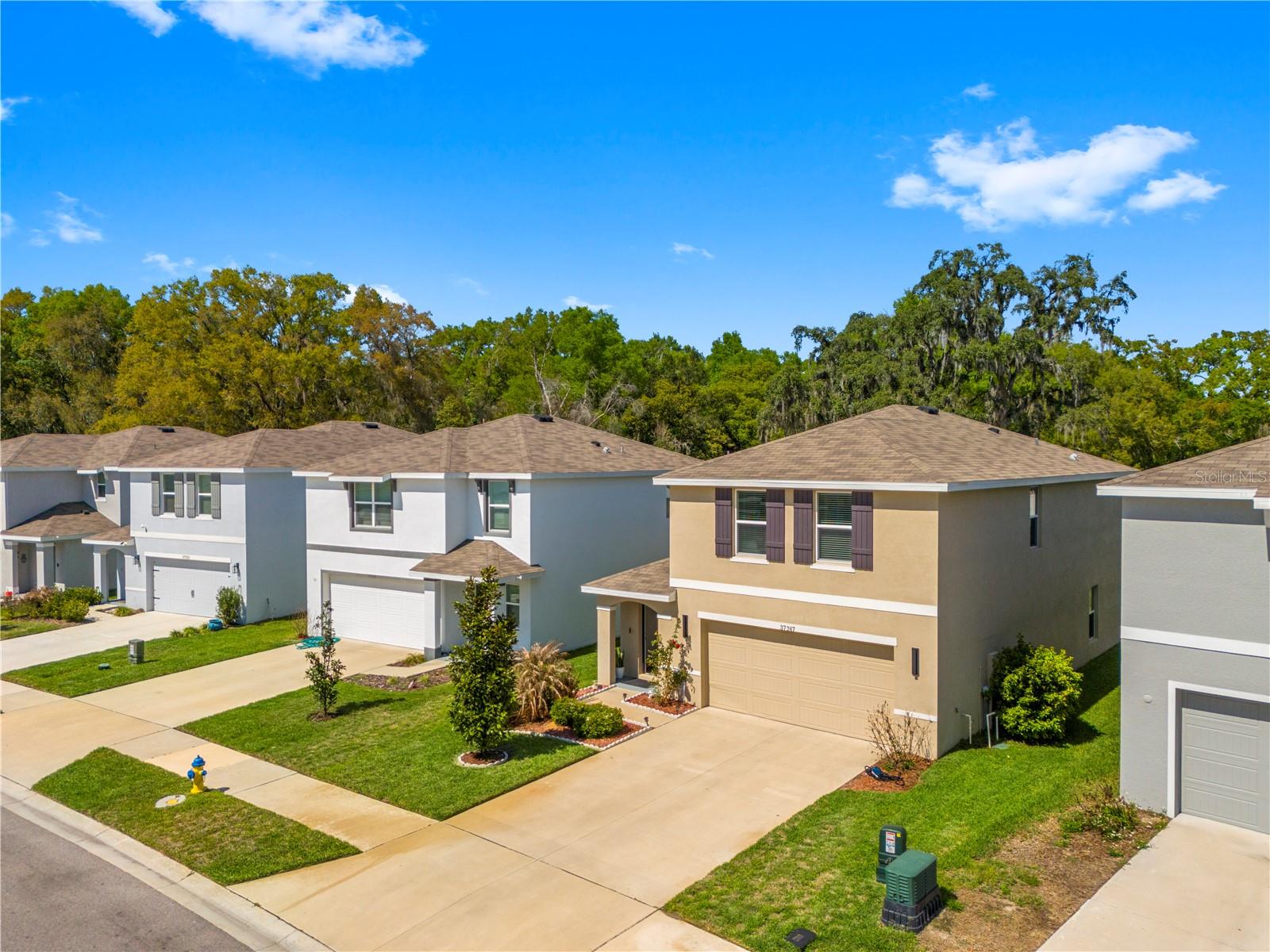 37247 KINGS CROWN DR, ZEPHYRHILLS, FL — photo 48
