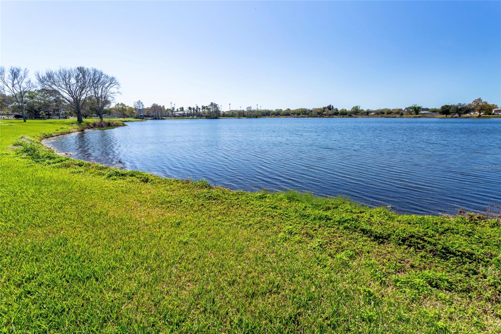 1332/1334 TIOGA AVE, CLEARWATER, FL — photo 25