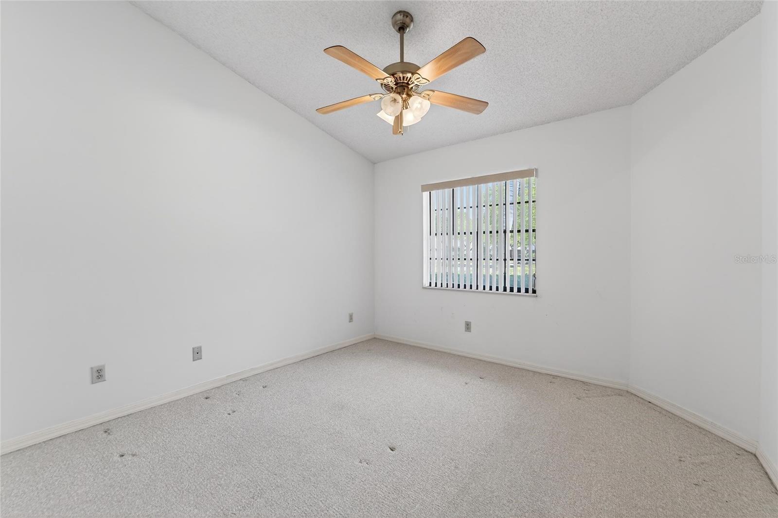 2369 BEVERLY DR, DUNEDIN, FL — photo 38